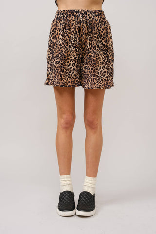Wild Safari Leopard Set