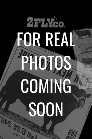 The Outlaw Mabel Mocha  Blouse