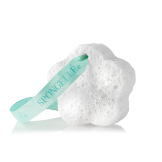 Mystic Rose Florica Coastal Scents Soap Sponge