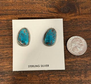 Perfect Post Earrings