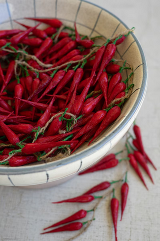 String of Artificial Small Red Peppers