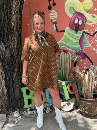 Polka Dot Denim Shirt Dress