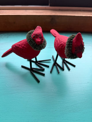 Cardinal with Wreath