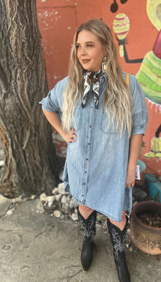 Willa Denim Dress
